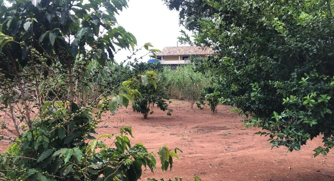 Terreno de 1.000 m² na Quinta das Frutas, foto 3 de 4