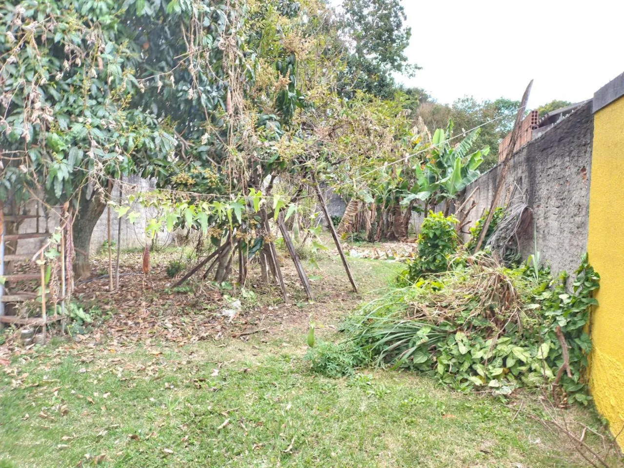 Casa com garagem para 4 carros na Independência, foto 7 de 16