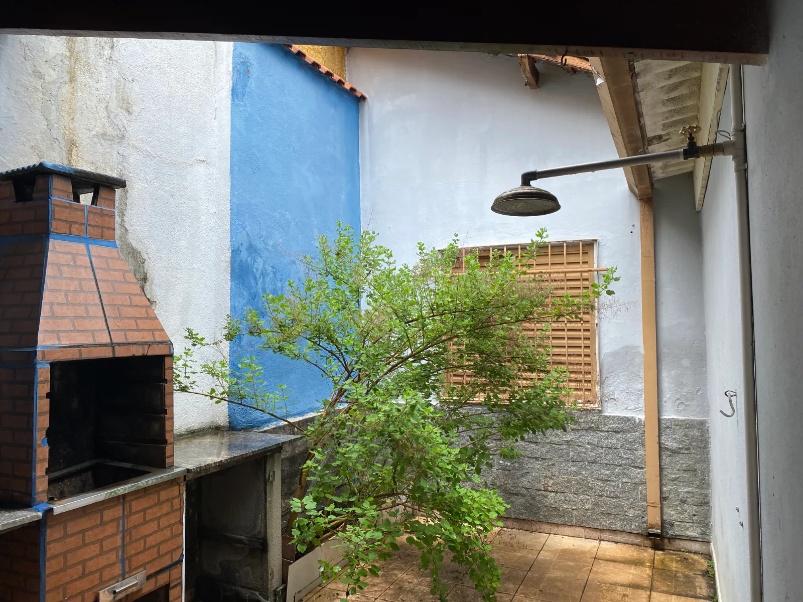 Casa na Independência, foto 11 de 13