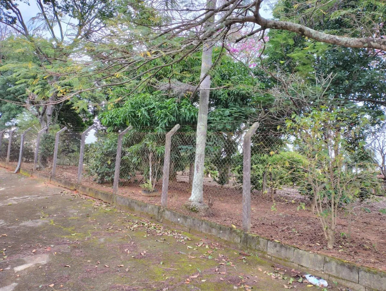 Terreno de esquina na Quinta das Frutas, foto 4 de 4